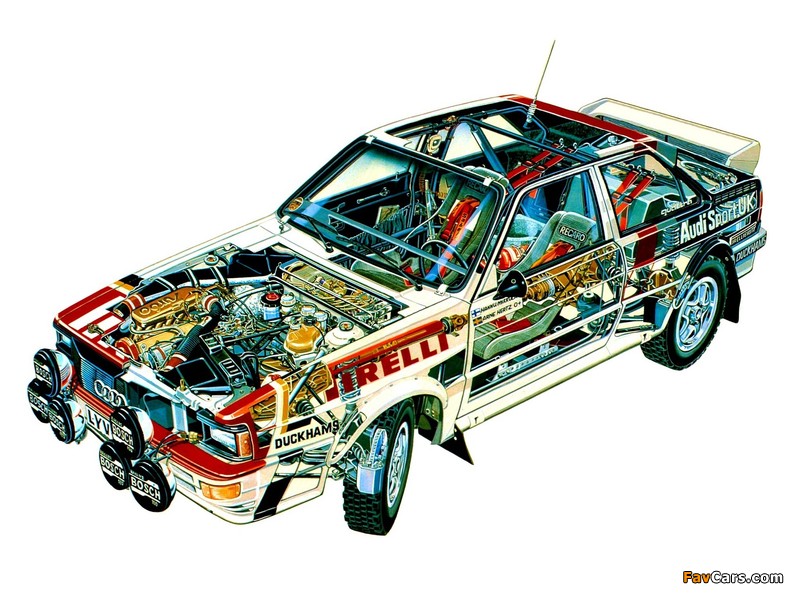 Audi Quattro Group 4 Rally Car (85) 1981–82 pictures (800 x 600)