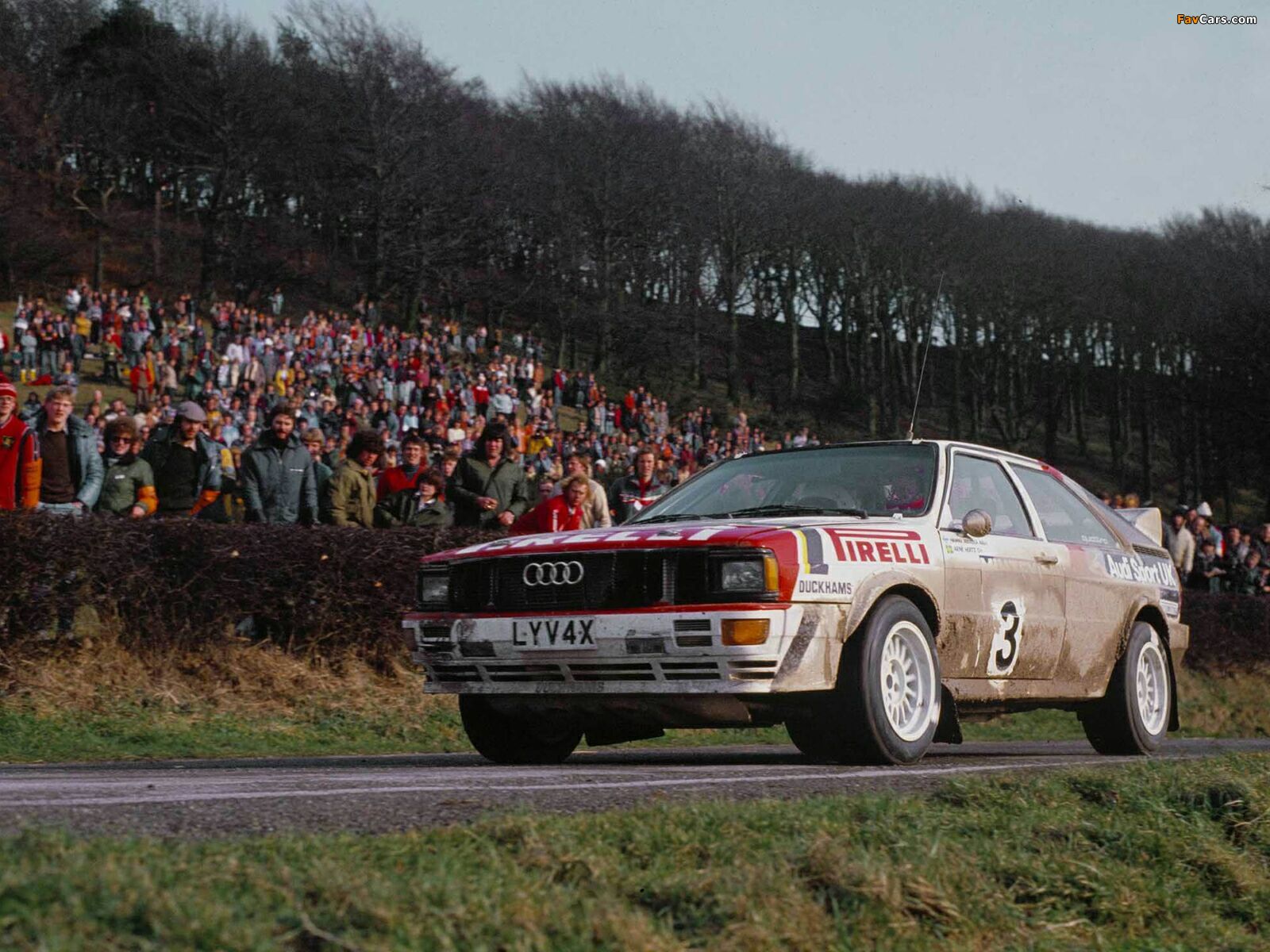 Audi Quattro Group 4 Rally Car (85) 1981–82 wallpapers (1600 x 1200)