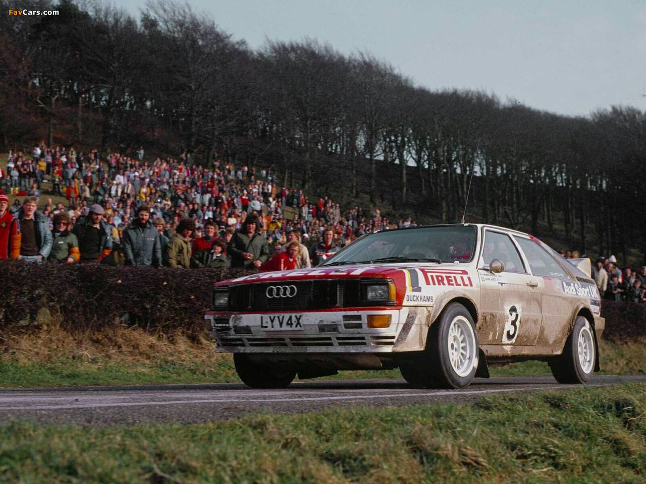 Audi Quattro Group 4 Rally Car (85) 1981–82 wallpapers (1280 x 960)