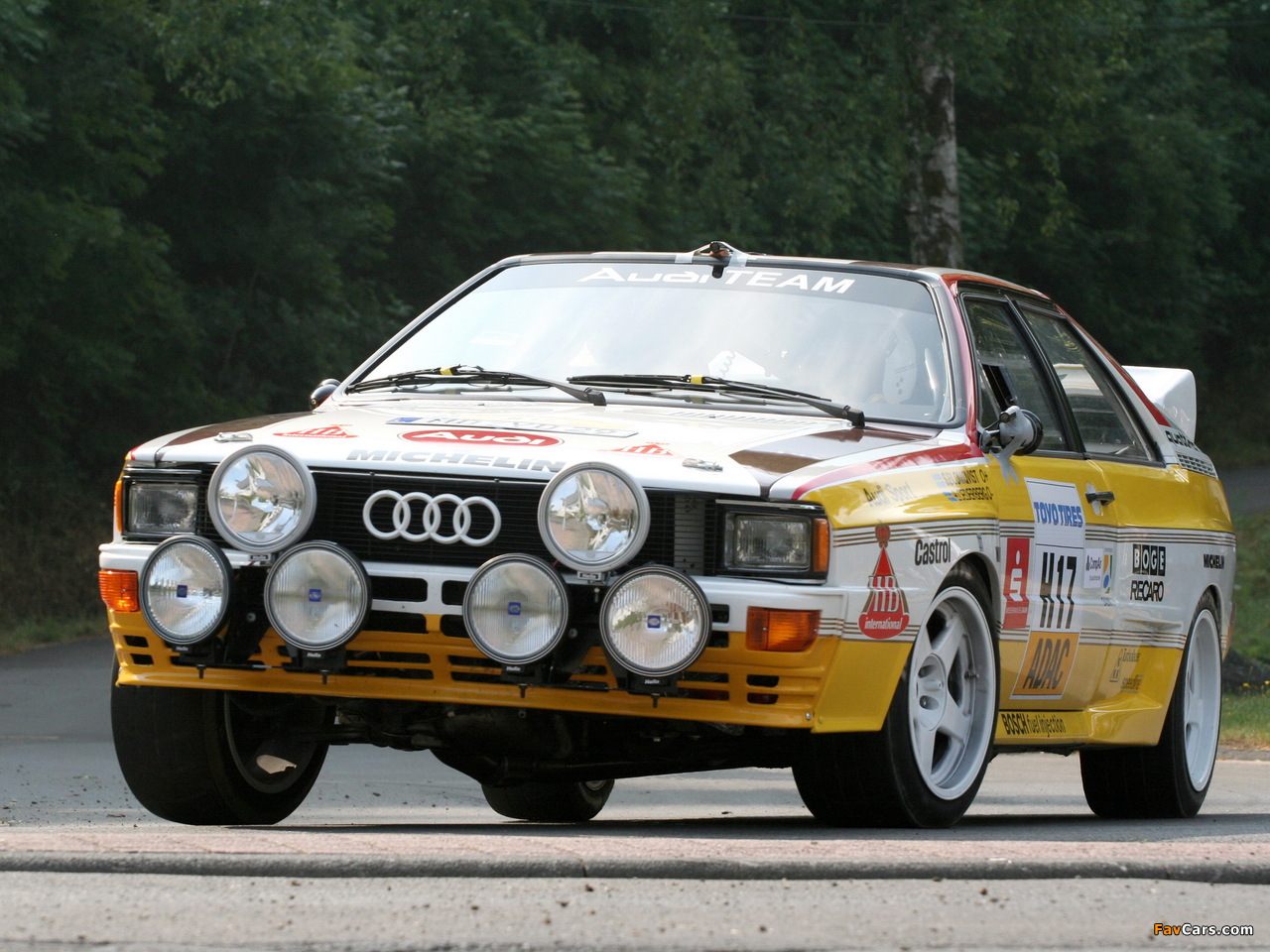 Audi Quattro Group B Rally Car (85) 1983–86 photos (1280 x 960)