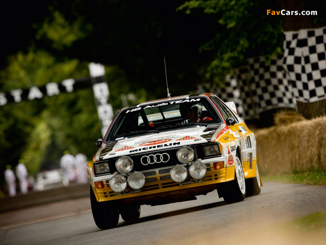 Audi Quattro Group B Rally Car (85) 1983–86 pictures (640 x 480)