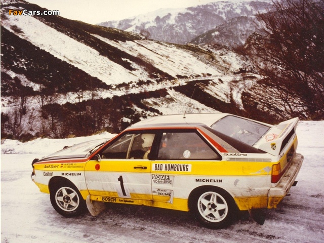 Audi Quattro Group B Rally Car (85) 1983–86 pictures (640 x 480)