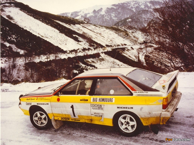 Audi Quattro Group B Rally Car (85) 1983–86 pictures (800 x 600)