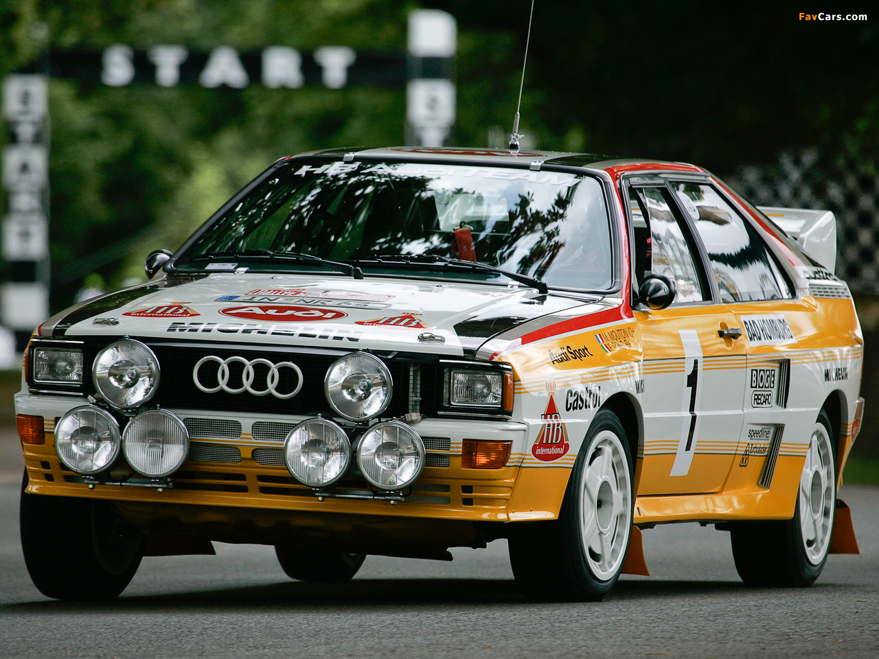 Audi Quattro Group B Rally Car (85) 1983–86 pictures (1280 x 960)