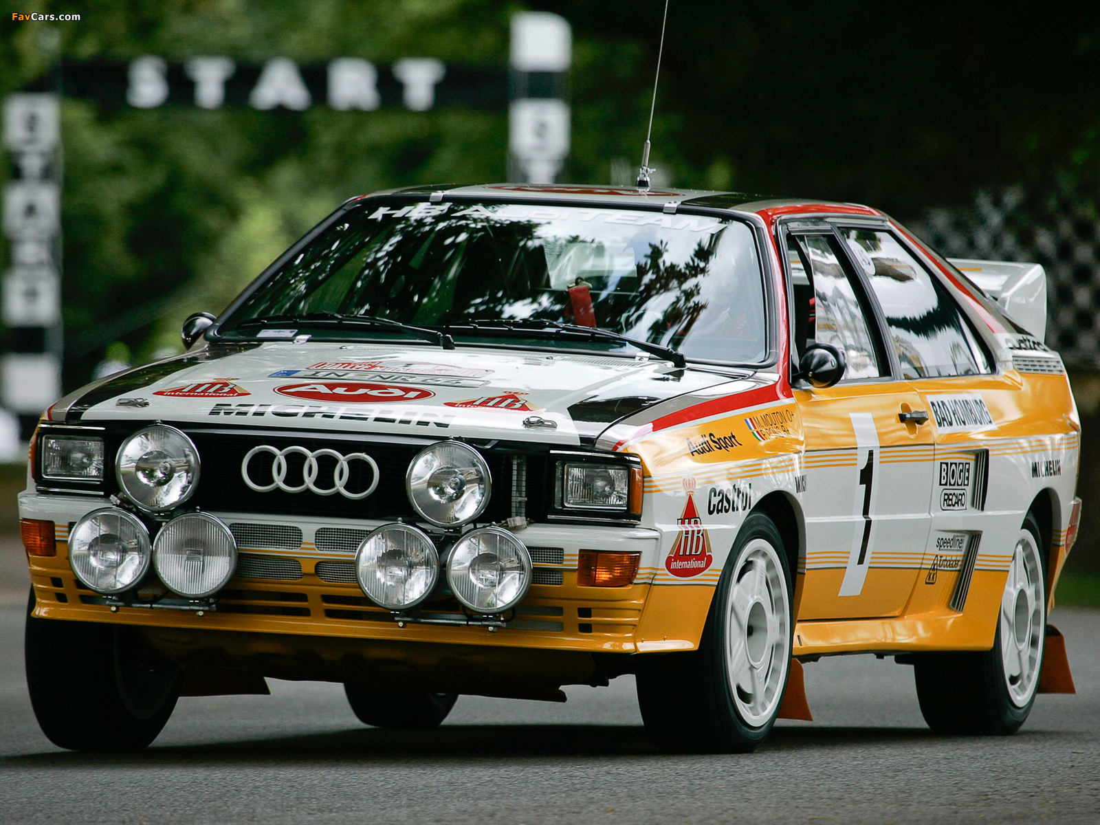 Audi Quattro Group B Rally Car (85) 1983–86 pictures (1600 x 1200)