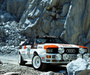 Images of Audi Quattro Group 4 Rally Car (85) 1981–82