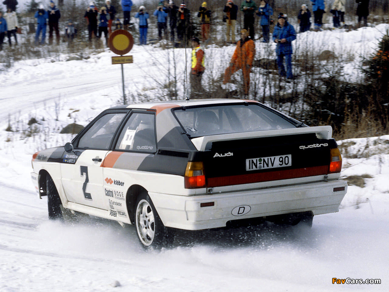Images of Audi Quattro Group 4 Rally Car (85) 1981–82 (800 x 600)