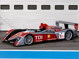 Images of Audi R10 TDI 2008