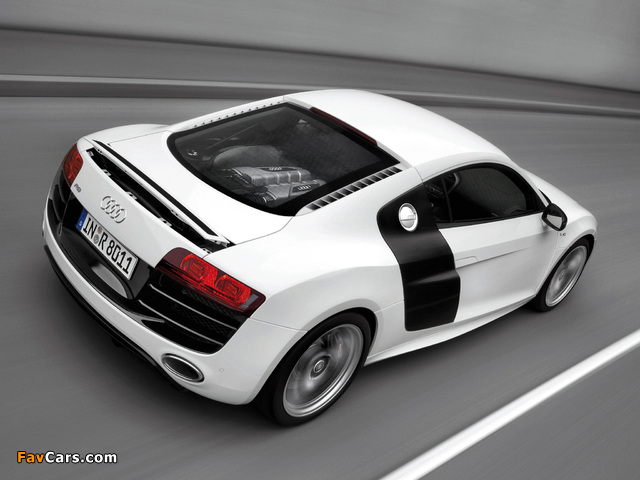 Images of Audi R8 V10 2009–12 (640 x 480)