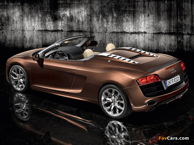 Pictures of Audi R8 V10 Spyder 2009 (640 x 480)