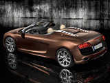 Pictures of Audi R8 V10 Spyder 2009