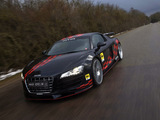 Pictures of MTM R8 GT3-2 2010