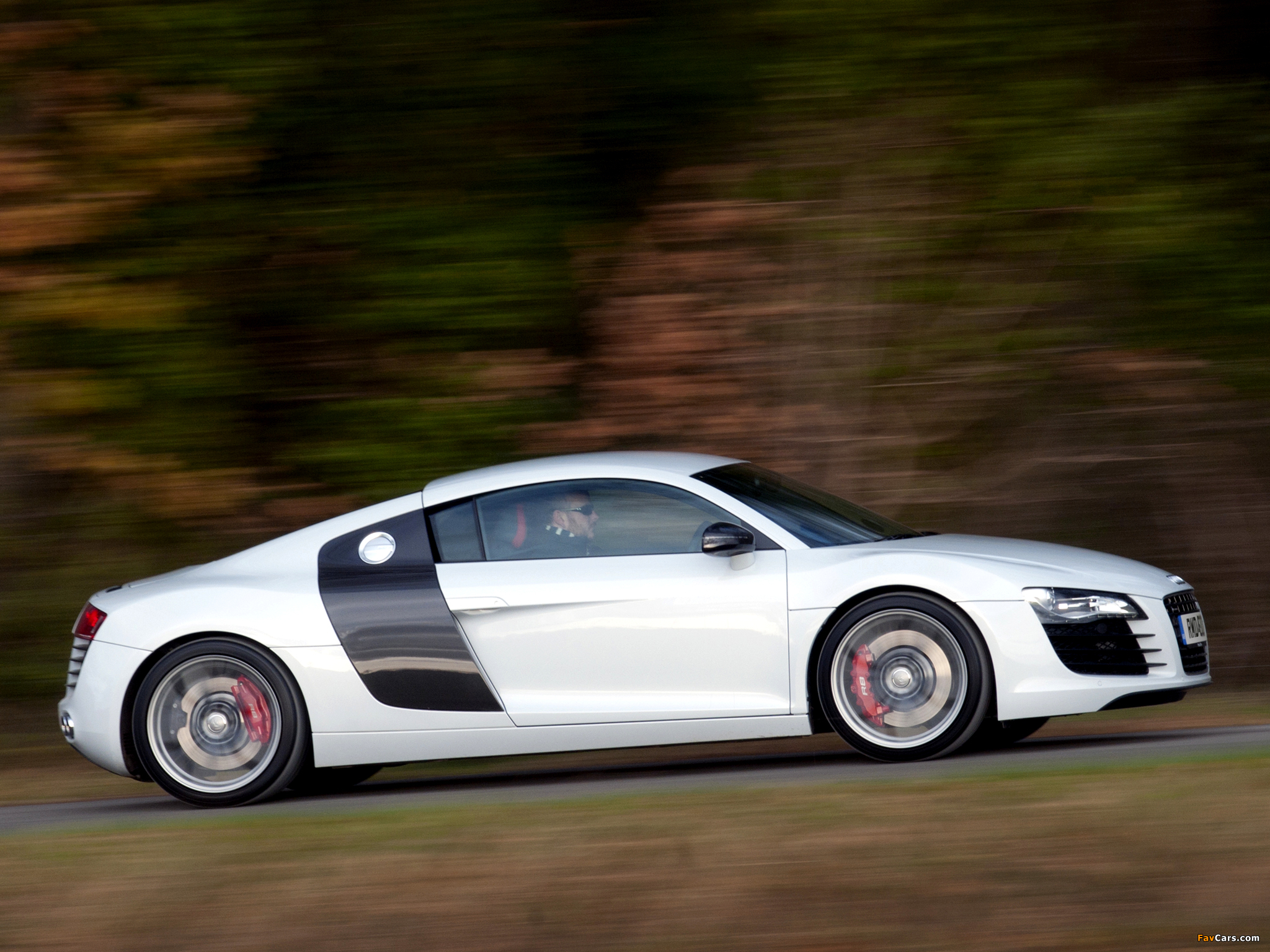 Pictures of Audi R8 V8 Limited Edition 2011 (2048 x 1536)
