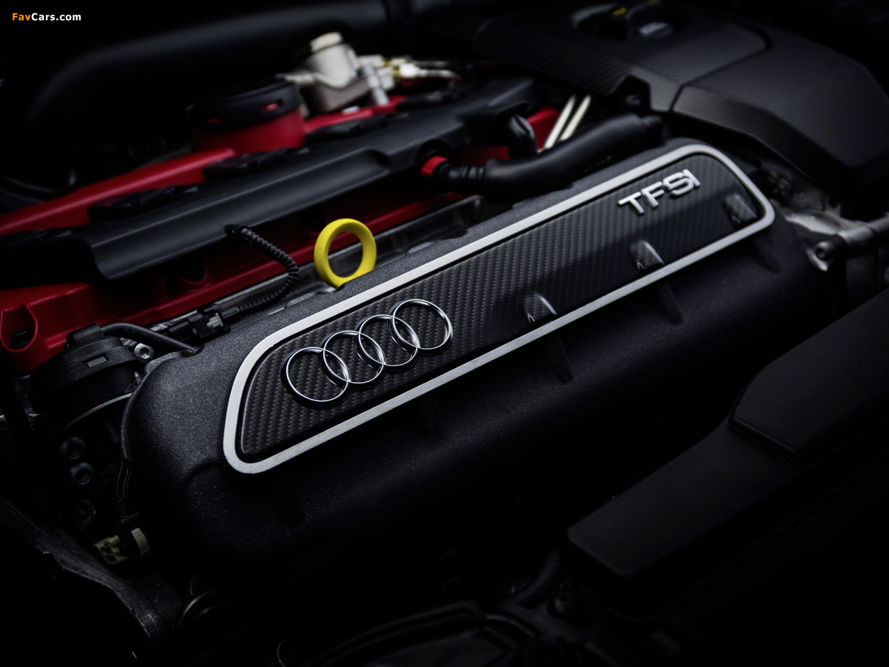 Audi RS 3 Sportback (8V) 2015 images (1280 x 960)