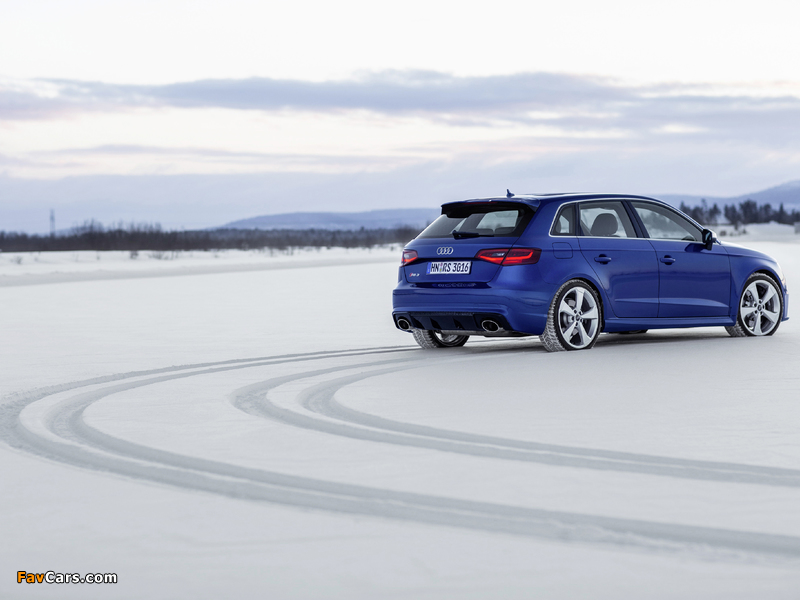 Audi RS 3 Sportback (8V) 2015 photos (800 x 600)