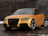 Images of Schwabenfolia Audi RS3 Sportback Gold Orange (8PA) 2013