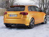 Photos of Schwabenfolia Audi RS3 Sportback Gold Orange (8PA) 2013