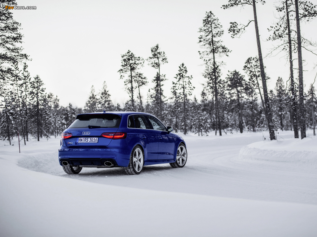 Photos of Audi RS 3 Sportback (8V) 2015 (1024 x 768)