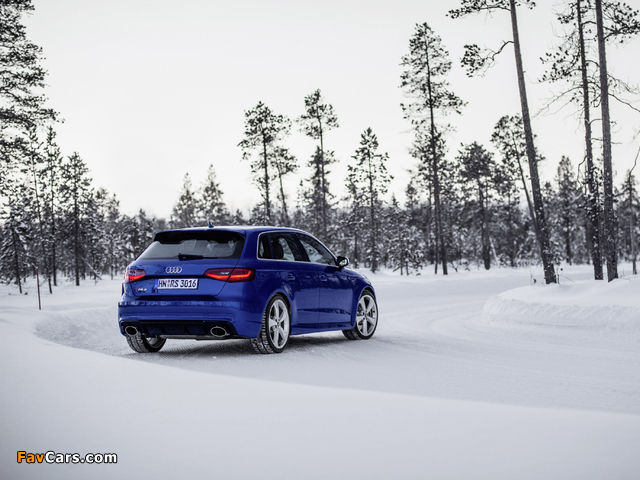 Photos of Audi RS 3 Sportback (8V) 2015 (640 x 480)