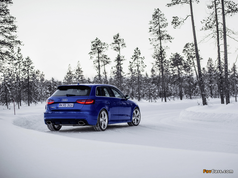 Photos of Audi RS 3 Sportback (8V) 2015 (800 x 600)