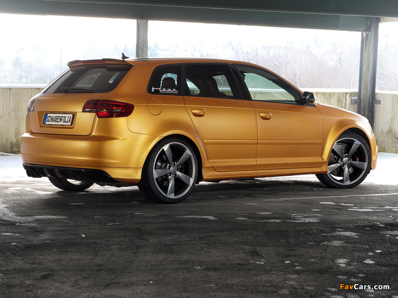 Schwabenfolia Audi RS3 Sportback Gold Orange (8PA) 2013 wallpapers (800 x 600)