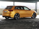 Schwabenfolia Audi RS3 Sportback Gold Orange (8PA) 2013 wallpapers