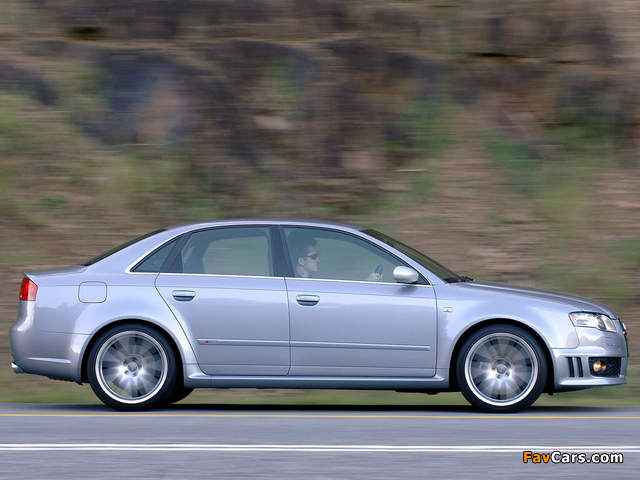 Audi RS4 Sedan ZA-spec (B7,8E) 2005–07 photos (640 x 480)