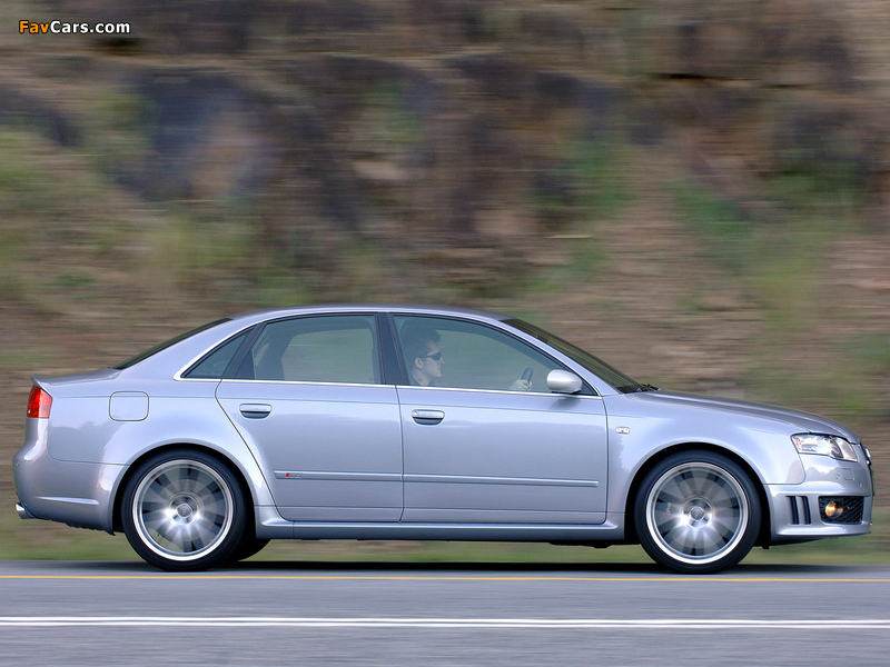 Audi RS4 Sedan ZA-spec (B7,8E) 2005–07 photos (800 x 600)