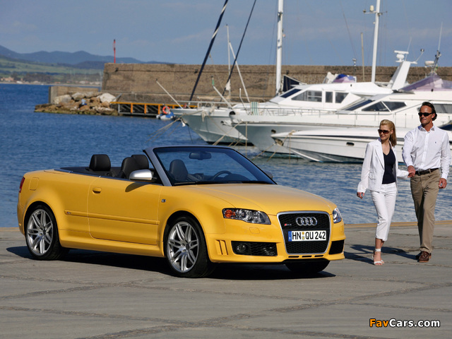 Audi RS4 Cabriolet (B7,8H) 2006–08 images (640 x 480)