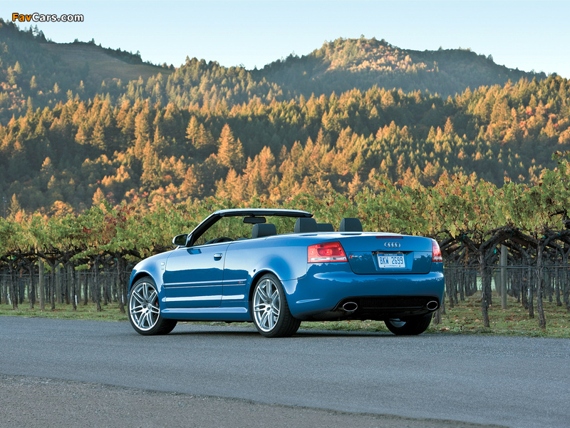 Audi RS4 Cabriolet US-spec (B7,8H) 2006–08 images (800 x 600)