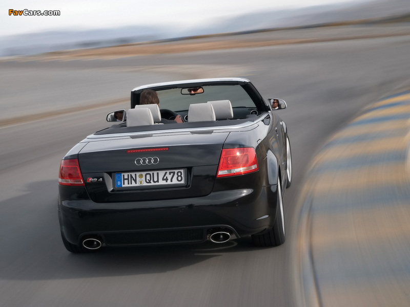 Audi RS4 Cabriolet (B7,8H) 2006–08 images (800 x 600)