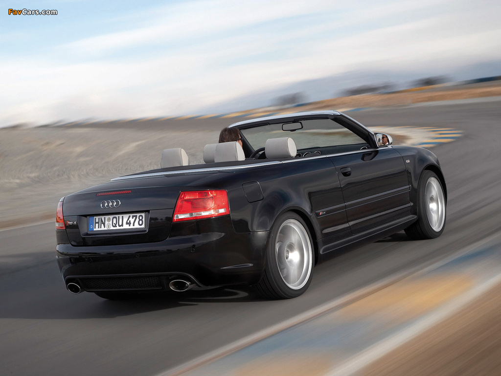 Audi RS4 Cabriolet (B7,8H) 2006–08 images (1024 x 768)