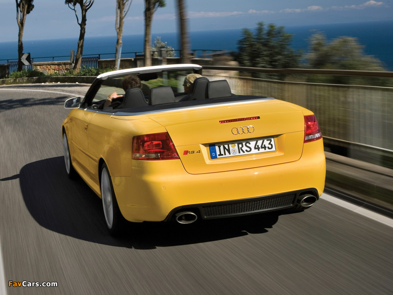 Audi RS4 Cabriolet (B7,8H) 2006–08 pictures (800 x 600)