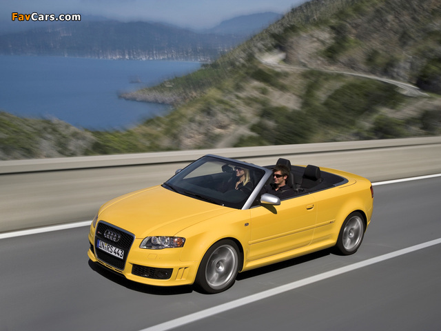 Audi RS4 Cabriolet (B7,8H) 2006–08 pictures (640 x 480)