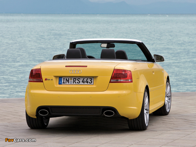 Audi RS4 Cabriolet (B7,8H) 2006–08 pictures (640 x 480)