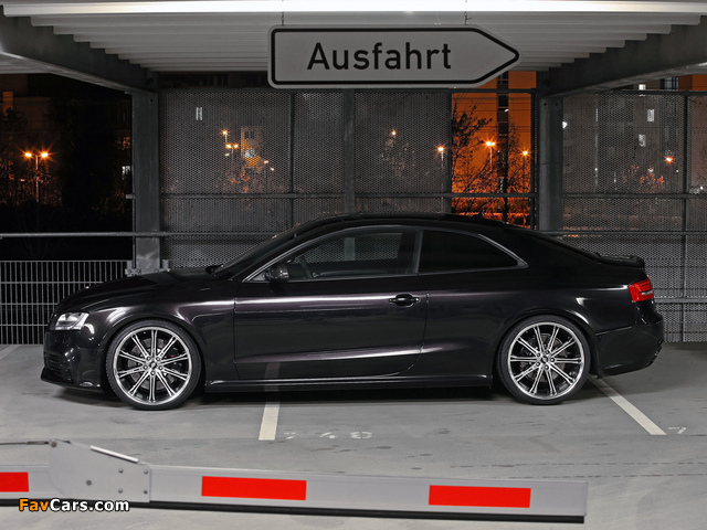 Senner Tuning Audi RS5 Coupe 2010 images (640 x 480)