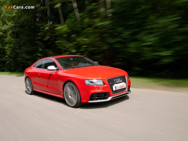 Images of MTM Audi RS5 2010 (640 x 480)