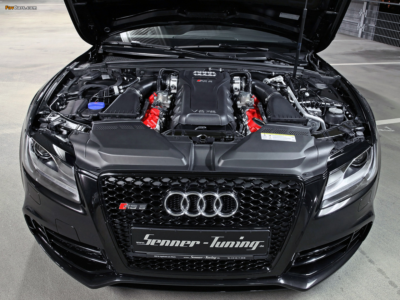 Images of Senner Tuning Audi RS5 Coupe 2010 (1280 x 960)