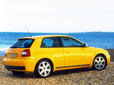 Audi S3 UK-spec (8L) 2001–03 images