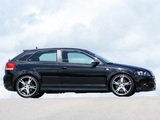 ABT Audi S3 (8P) images