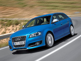 Photos of Audi S3 Sportback (8PA) 2008–10