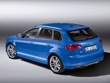 Photos of Audi S3 Sportback (8PA) 2008–10