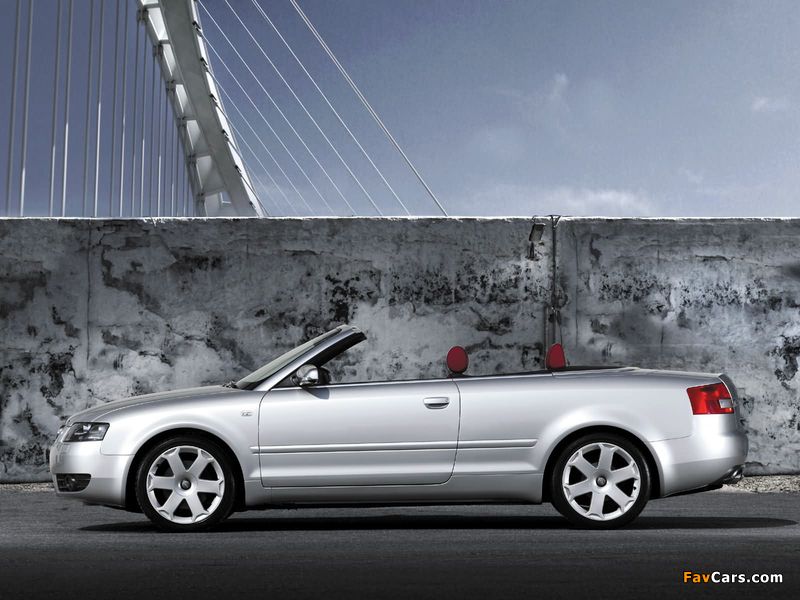 Audi S4 Cabrio (B6,8H) 2002–05 pictures (800 x 600)
