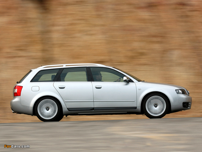 Audi S4 Avant ZA-spec (B6,8E) 2003–05 photos (800 x 600)