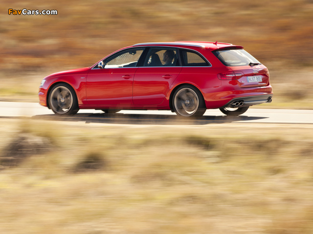 Audi S4 Avant AU-spec (B8,8K) 2012 images (640 x 480)