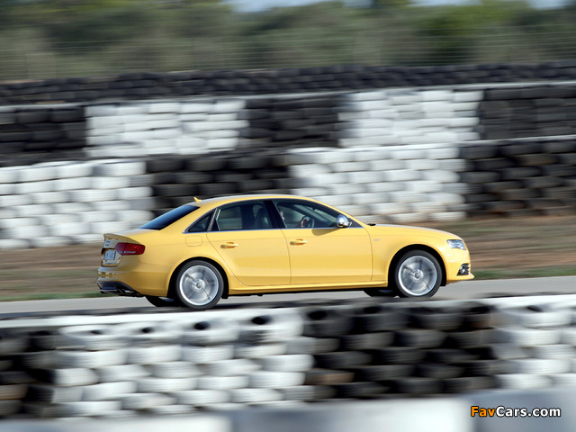 Photos of Audi S4 Sedan (B8,8K) 2009–11 (640 x 480)