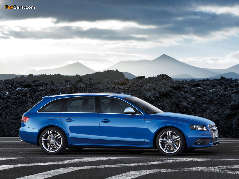 Pictures of Audi S4 Avant (B8,8K) 2009–11 (800 x 600)