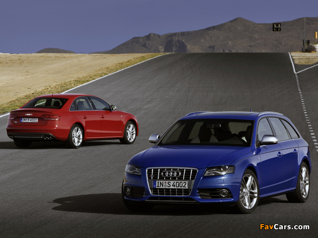 Audi S4 & S4 Avant (B8,8K) 2009-11 wallpapers (640 x 480)