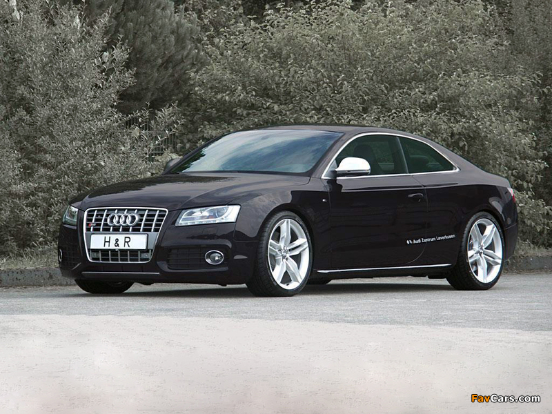 H&R Audi S5 2008 images (800 x 600)