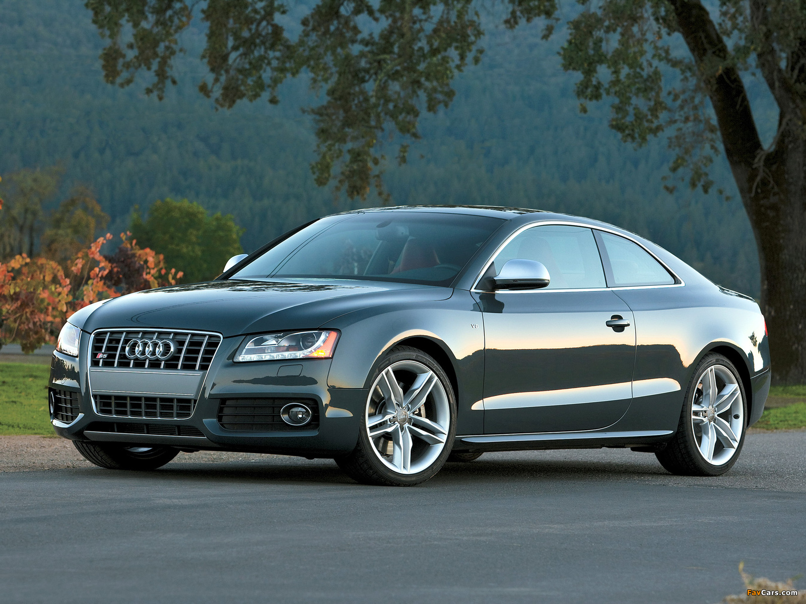 Audi S5 Coupe US-spec 2008–11 pictures (1600 x 1200)